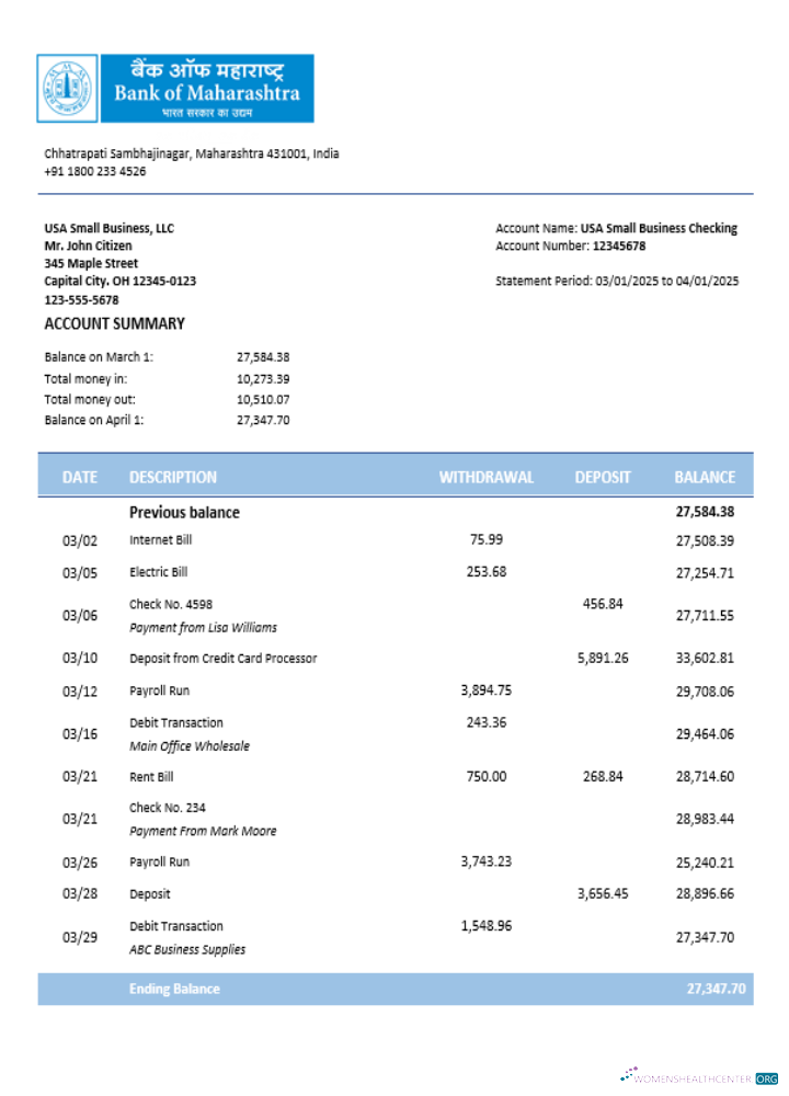 Download Maharashtra firm account statement Word and PDF template Photoshop template